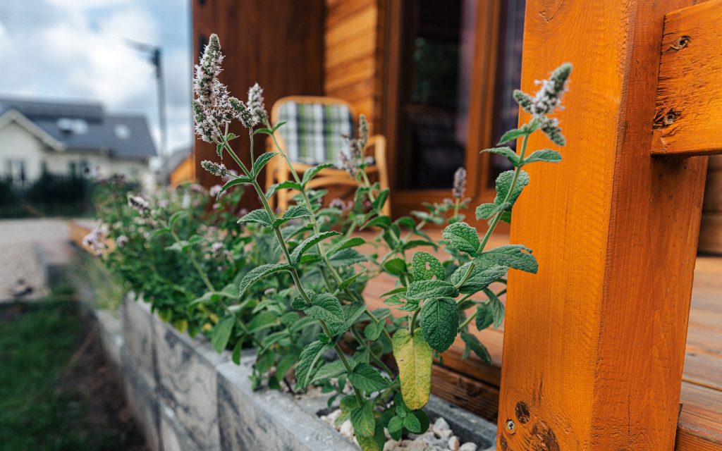 kamila-weder-photography-leleszki-domek-na-zewnatrz--10