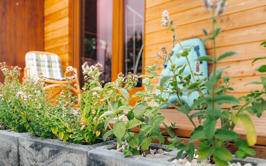 kamila-weder-photography-leleszki-domek-na-zewnatrz--11