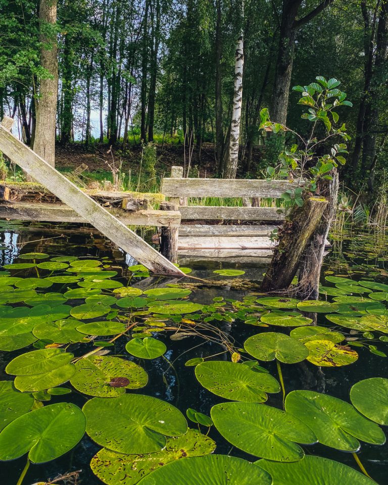 kamila-weder-photography-leleszki-okolica-jezioro-leleskie-mazury-23