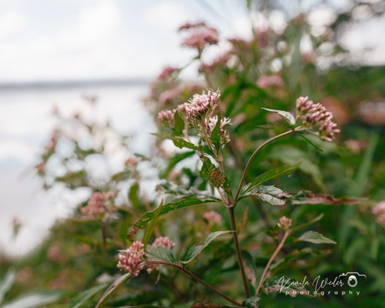 kamila-weder-photography-leleszki-okolica-mazury--5