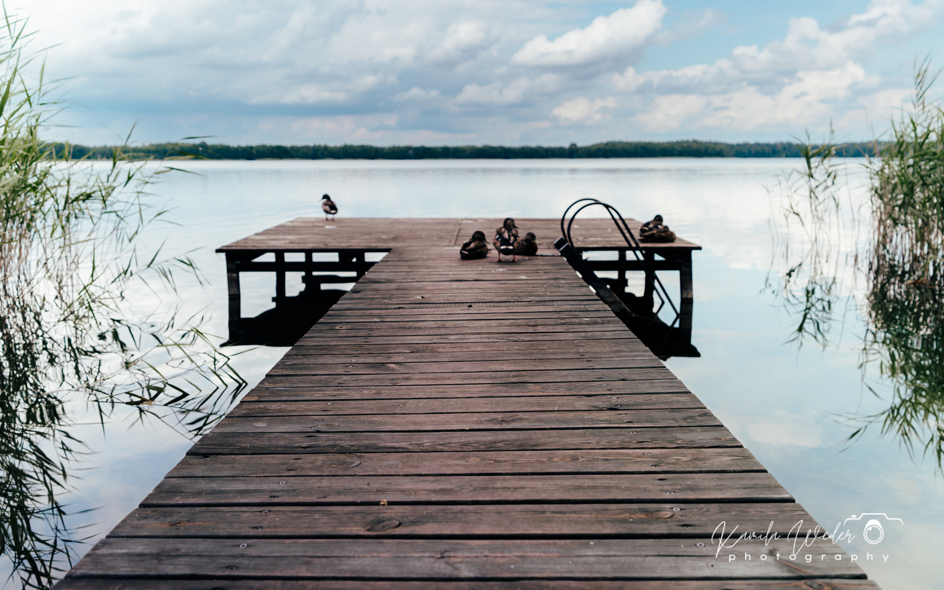 kamila-weder-photography-leleszki-okolica-mazury--8